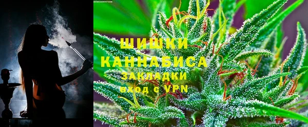 бошки Протвино