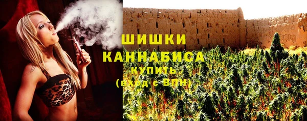 бошки Протвино