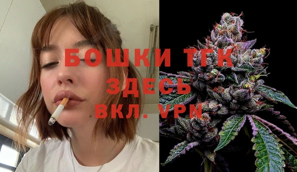 бошки Протвино