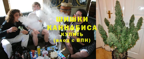бошки Протвино