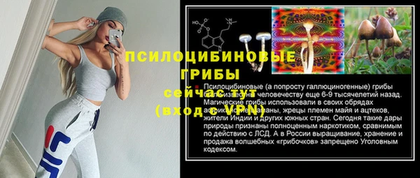 бошки Протвино