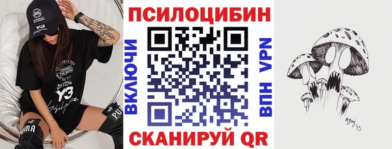 Купить закладки  Полесск  Псилоцибиновые грибы мухоморы 